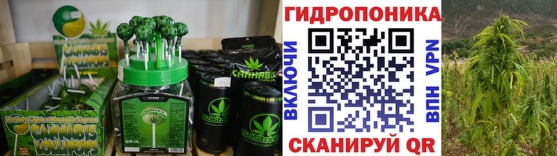 Canna-Cookies марихуана  Талица 