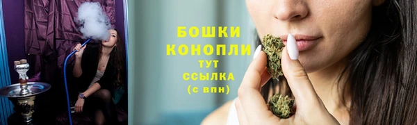 молекула духа Пестово