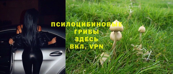 таблы Аркадак