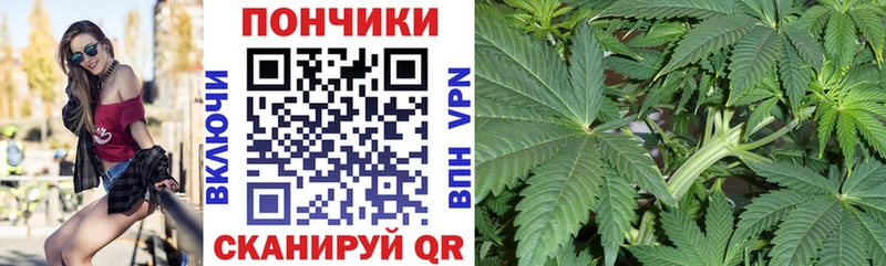 Бошки Шишки MAZAR Талица